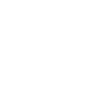 aj skogquist 1/3 cmp/att, 12 yds