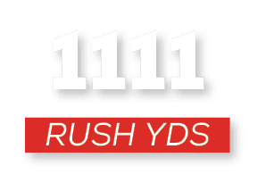 RUSH YDS,111