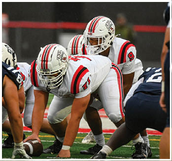 A group of football players celebrating a touchdown. Description generated by AI