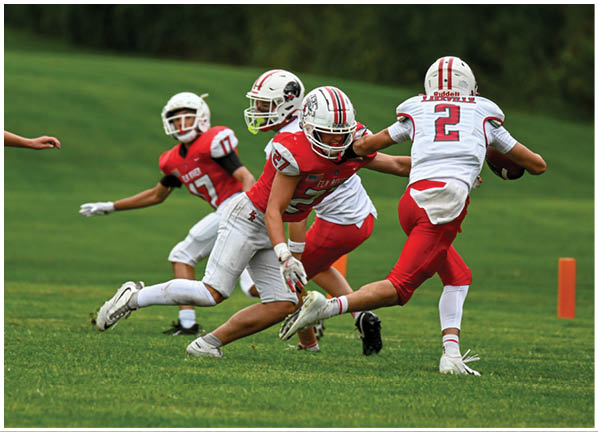 A football player running on the field. Description generated by AI