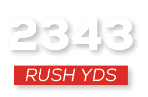 RUSH YDS,234