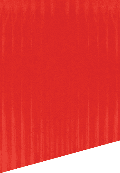 A green and white patterned background. Description generated by AI