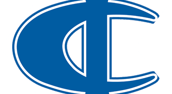 A blue and white bull head. Description generated by AI