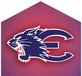 A stylized blue and white wolf head logo with a red and purple gradient background shaped like a house roof. Description generated by AI