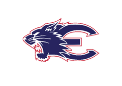A blue and red logo of a lion. Description generated by AI