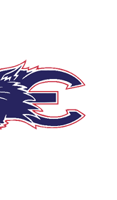 A blue and red logo of a lion. Description generated by AI