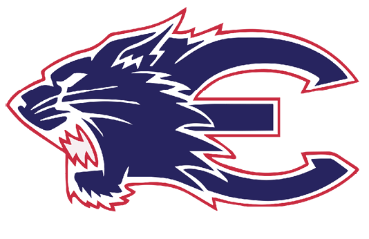 A blue and red logo of a cat with its mouth open. Description generated by AI