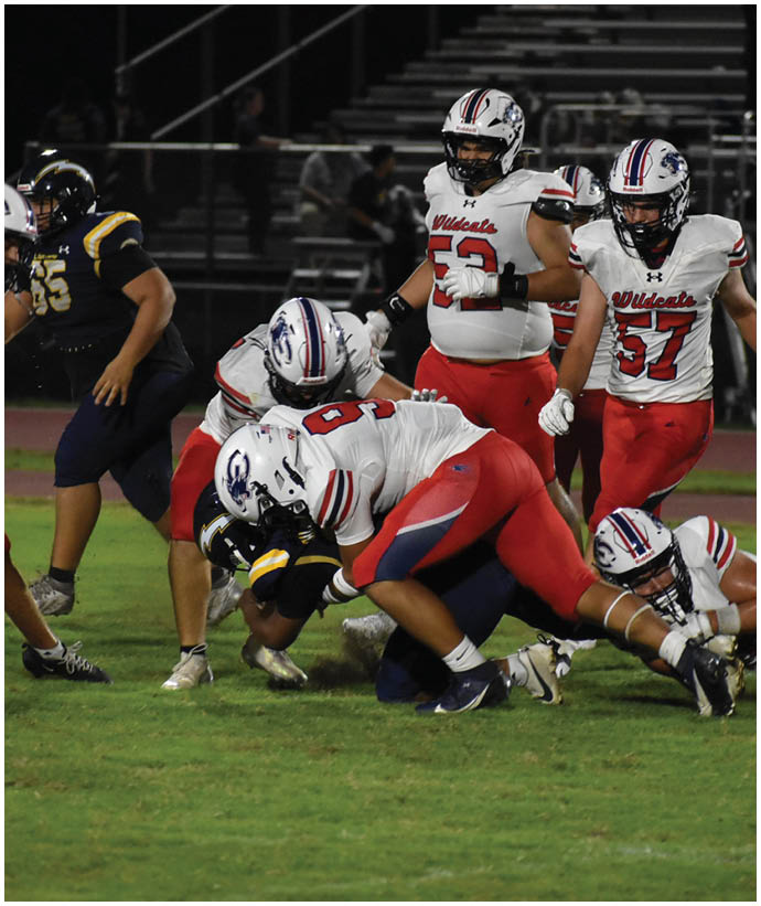Several people in football uniforms are engaged in a tackle on a grassy field during a game at night. Description generated by AI