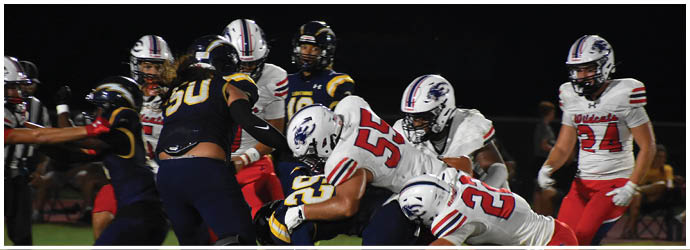 Players in football uniforms are engaged in a tackle during a nighttime game on the field. Description generated by AI