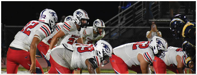 People in football uniforms are crouched in a ready position on a grassy field during a game. Description generated by AI