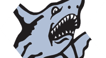 A stylized blue shark with sharp teeth and black outlines is depicted in a cartoon-like design. Description generated by AI