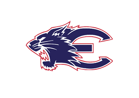 A blue and red logo of a lion. Description generated by AI