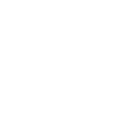 rush yds,17