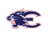 A blue and red logo of a lion. Description generated by AI