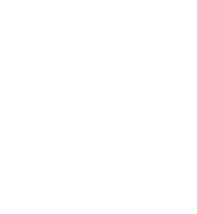 rush yds,10