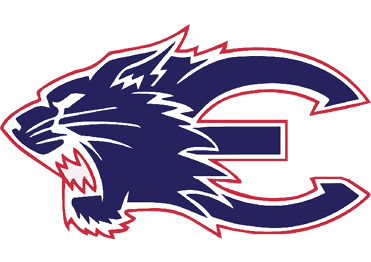A blue and red logo of a lion. Description generated by AI