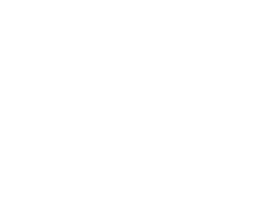 team,16 22 Passing for 389 Yards, 6 TDs, 1 Rushing TD,Maddox Stewar