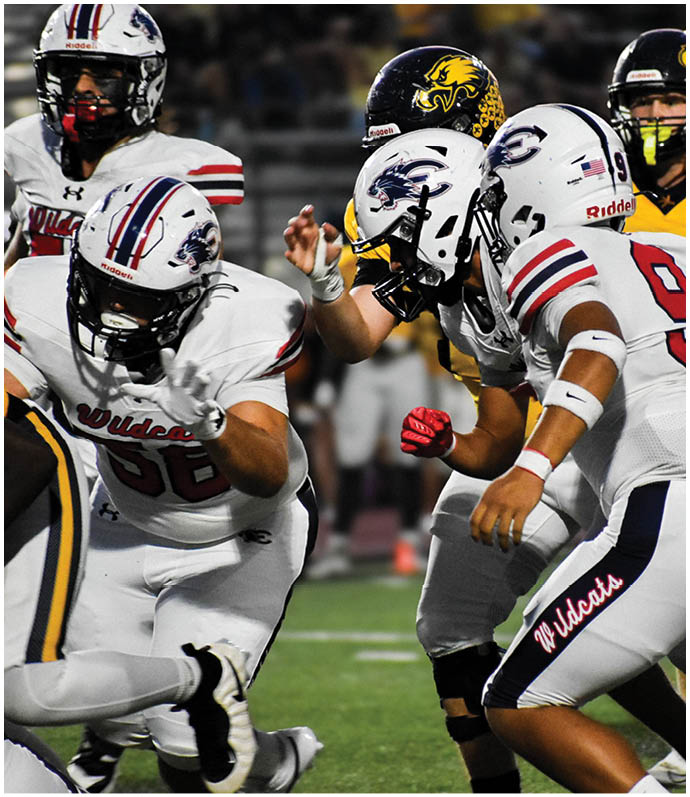 Two people in football uniforms and helmets are engaged in a play on the field with one person reaching out toward the other. Description generated by AI