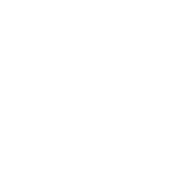 rush yds,3