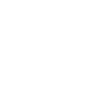 pass yds,142