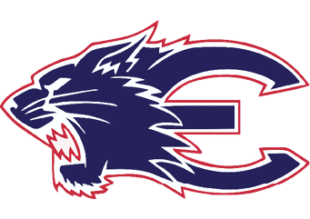 A blue and red logo of a lion. Description generated by AI