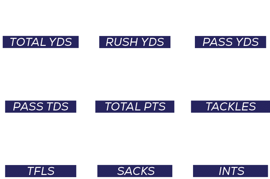ints,2,tackles,284,pass YDS,1720,sacks,3,total pts,190,RUSH YDS,446,tfls,11,pass tDS,20,total YDS,210