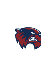 A blue and white logo for Valor. Description generated by AI