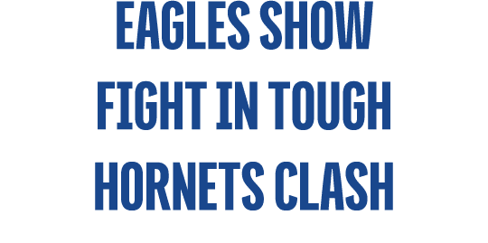 Eagles show fight in tough hornets clash