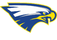 A green and yellow eagle with the letters M and M on its chest. Description generated by AI