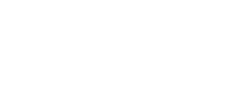 101
