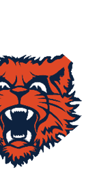 A blue and red logo of a lion. Description generated by AI