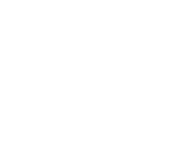 EVANSTON VS MOLINE