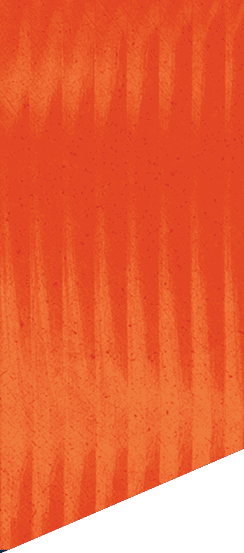 A textured orange background with subtle vertical stripes and a diagonal cut at the bottom right corner. Description generated by AI