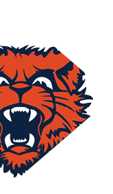 A blue and red logo of a lion. Description generated by AI