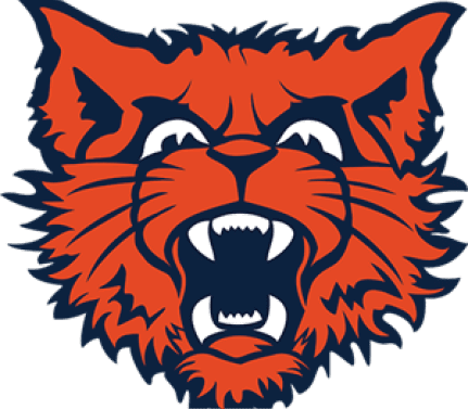 A stylized roaring wildcat head in orange and dark blue with sharp teeth and fierce expression. Description generated by AI