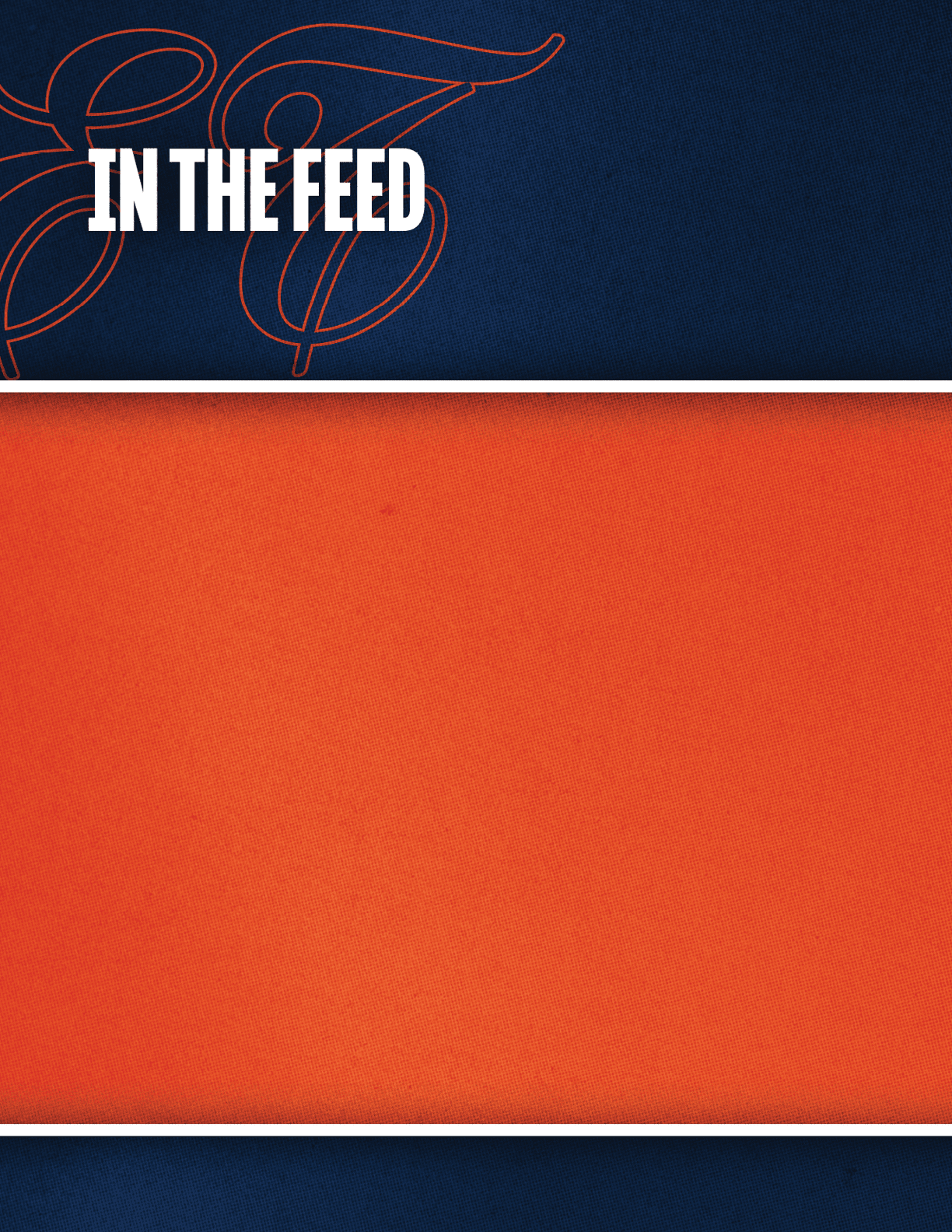 The image features a dark blue textured background with the words “IN THE FEED" in bold white letters and an orange textured rectangular area below it. Description generated by AI