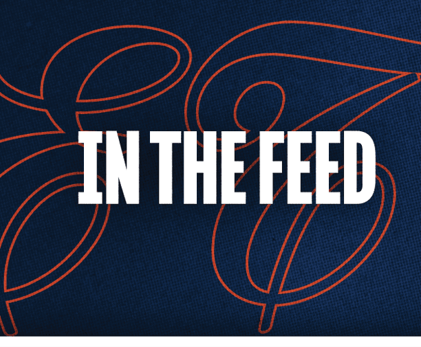 The text “IN THE FEED" is displayed in bold white letters over a dark blue background with an abstract orange line design. Description generated by AI