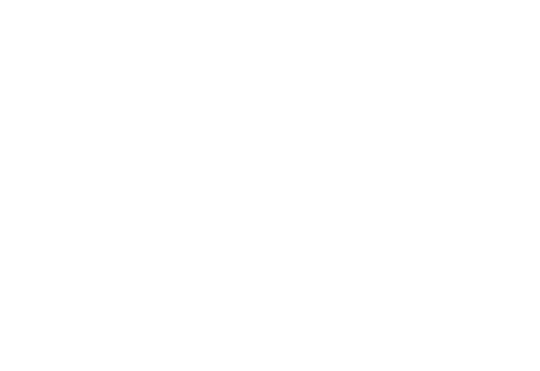 HOLLY LOVEJOY CADENCE O’KELLEY ALIVIA SWALLOWS BROOKE VARVEL