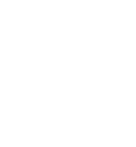 rush yds,17