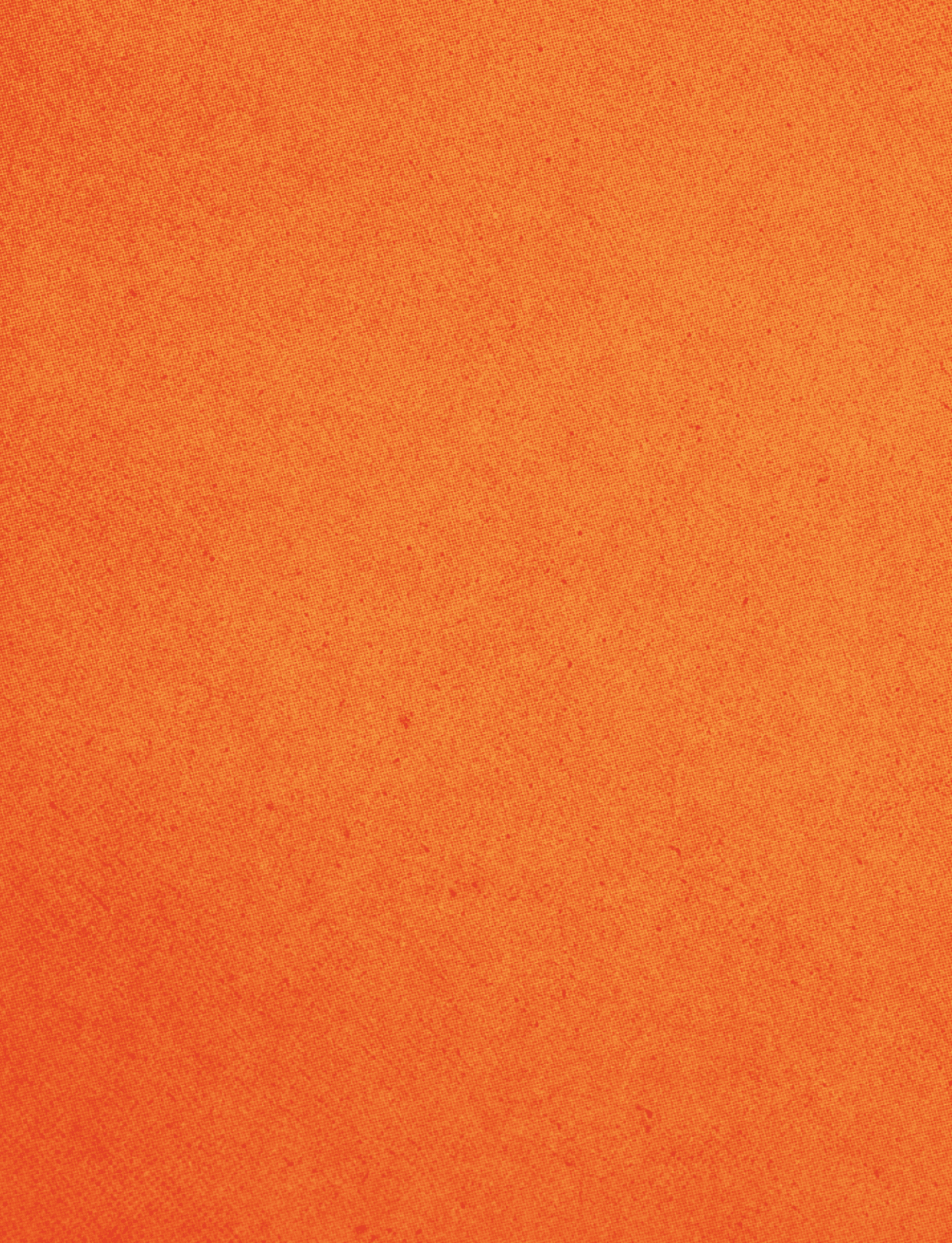A red cloth with a red border. Description generated by AI