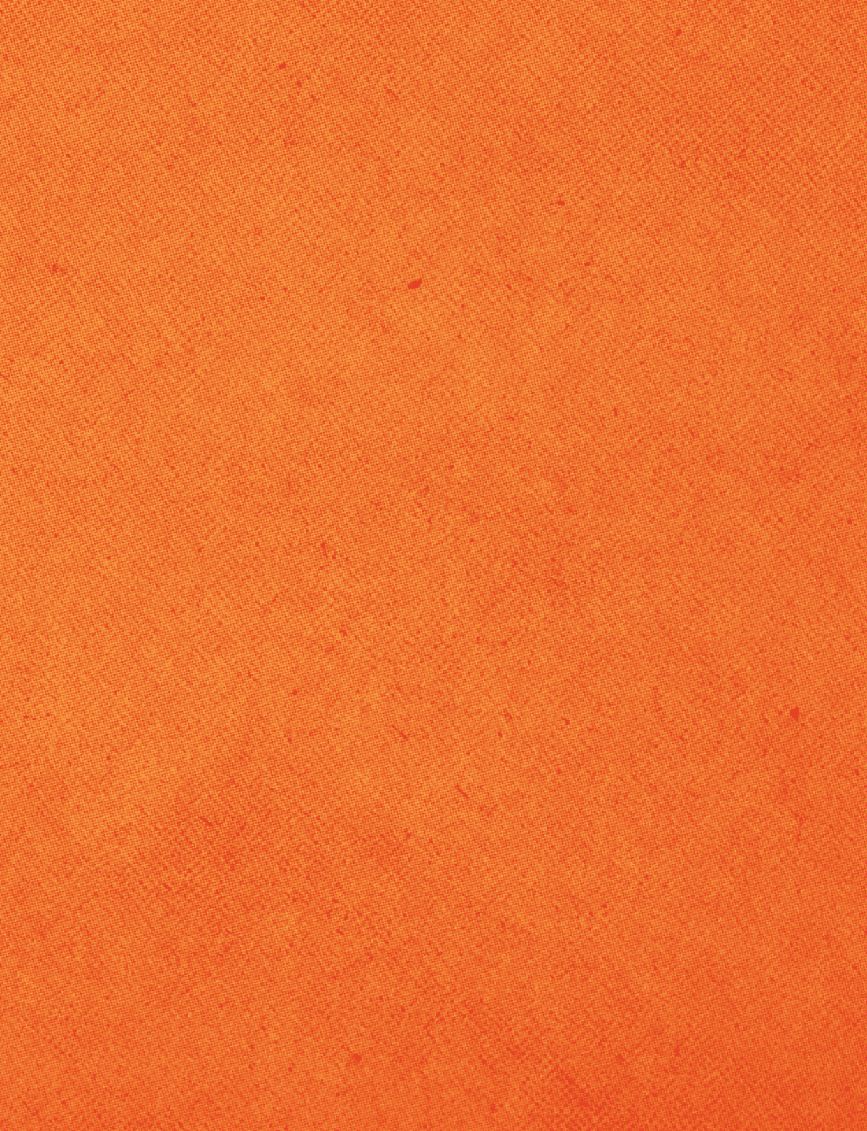 A red cloth with a red border. Description generated by AI