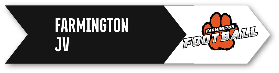 FARMINGTON J