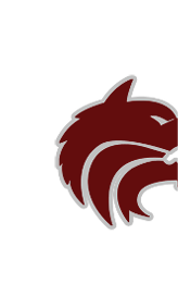A stylized maroon wildcat head logo with a gray outline facing to the right. Description generated by AI