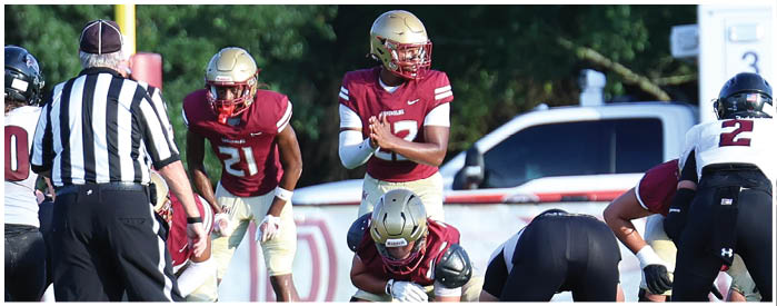 Three people in football uniforms and helmets are on a field with one person holding a football and preparing to throw it while a referee watches. Description generated by AI