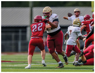 Several people in football uniforms are actively engaged in a play on a green field with a blurred background. Description generated by AI