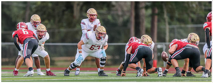 People in football uniforms are lined up on a field preparing for a play during a game. Description generated by AI