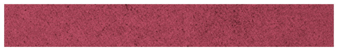 $$$/StateType/Normal