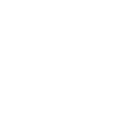 rush yds,28