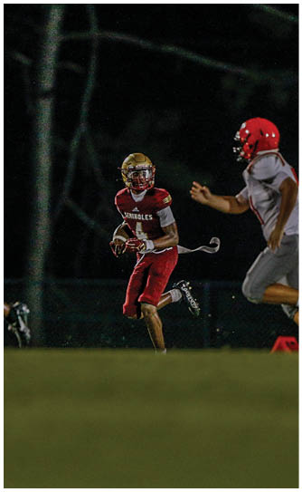 Two people wearing football helmets and Seminoles jerseys are engaged in a play on a field with a blurred green background. Description generated by AI