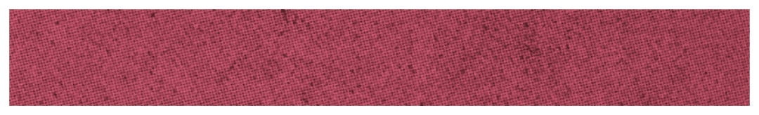 $$$/StateType/Normal